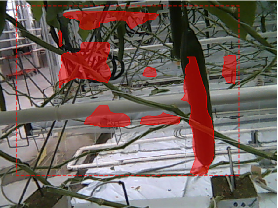 Refer to caption