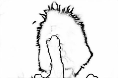 Refer to caption