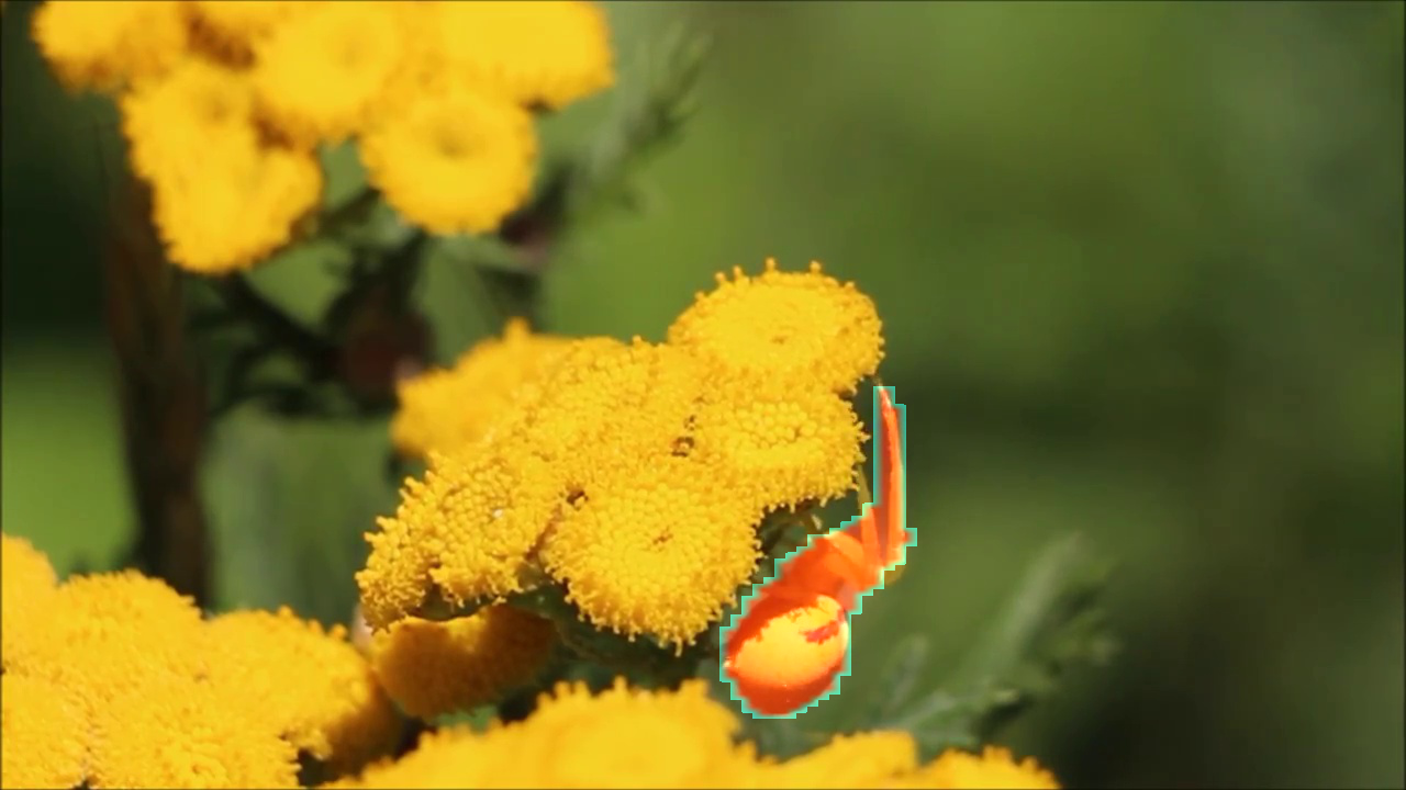 Refer to caption
