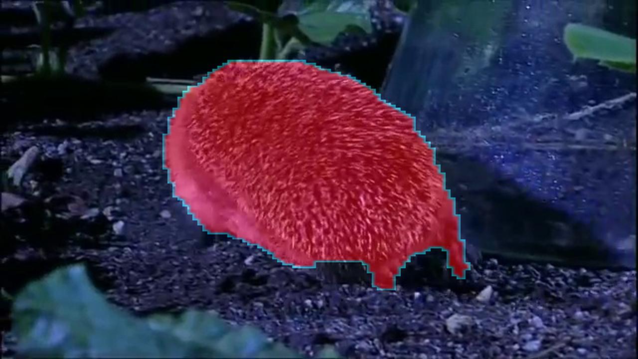Refer to caption