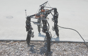 Refer to caption