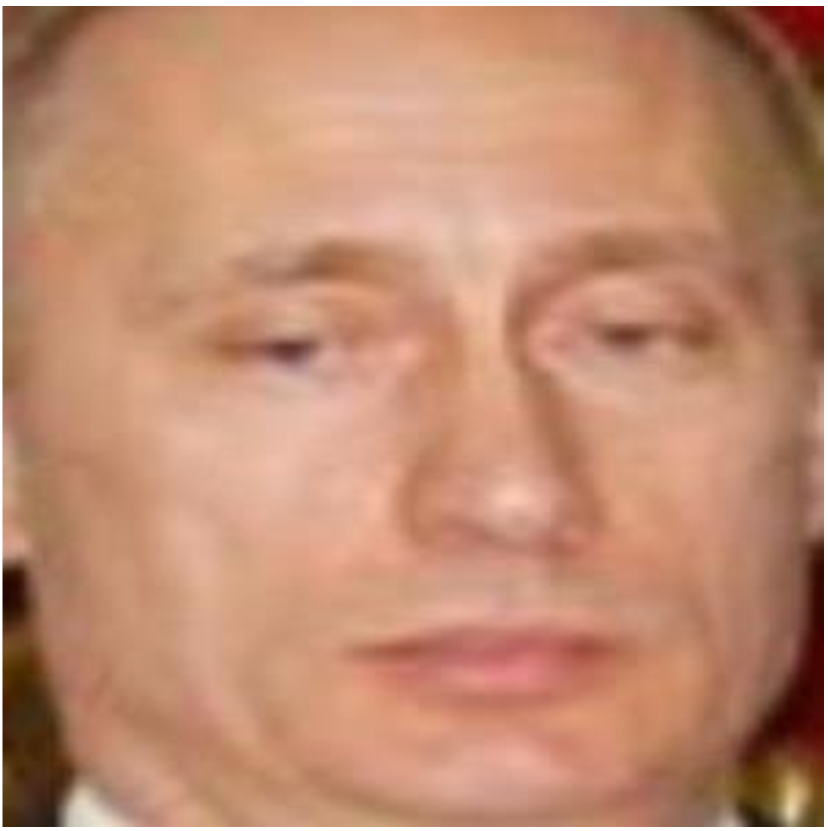 [Uncaptioned image]