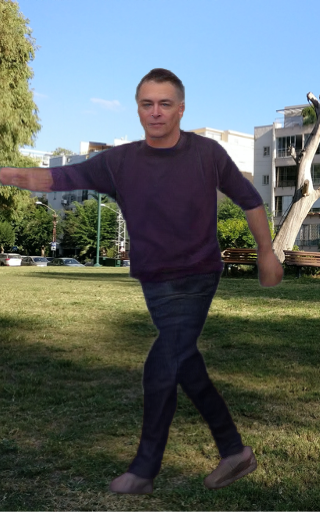 Refer to caption