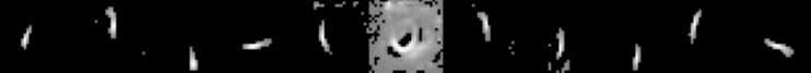 [Uncaptioned image]