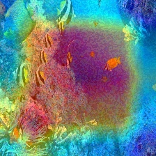 Refer to caption