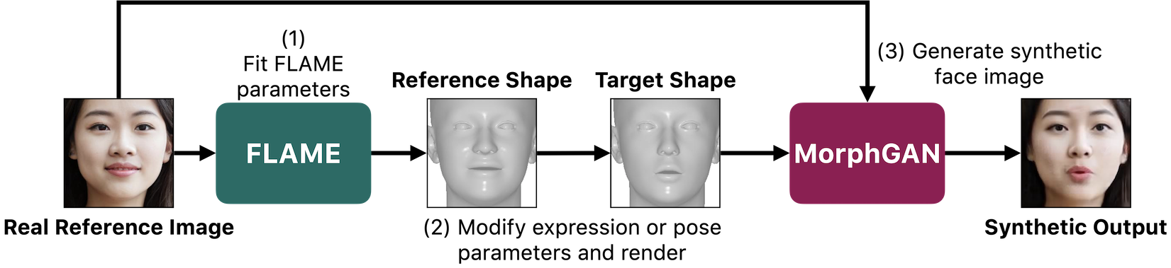 [2012.05225] MorphGAN: One-Shot Face Synthesis GAN for Detecting ...
