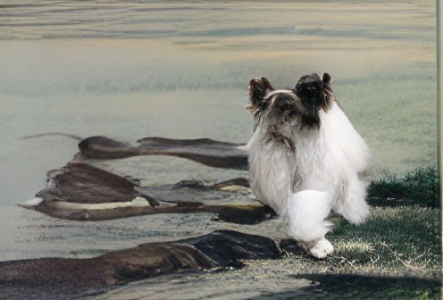Refer to caption