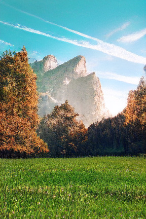 Refer to caption