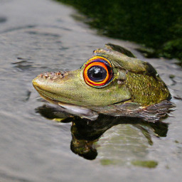 Refer to caption