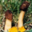 [Uncaptioned image]
