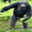 [Uncaptioned image]
