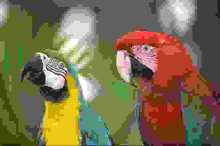 Refer to caption