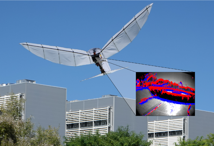 Refer to caption