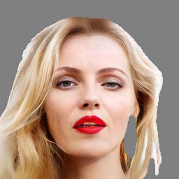 Refer to caption