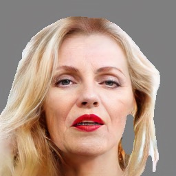 Refer to caption