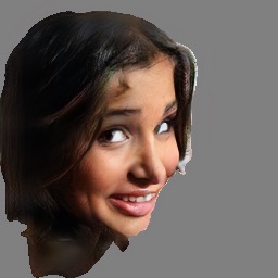 Refer to caption