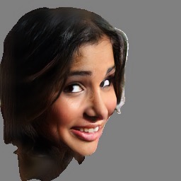 Refer to caption