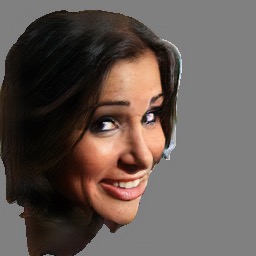 Refer to caption