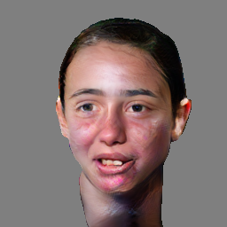 Refer to caption
