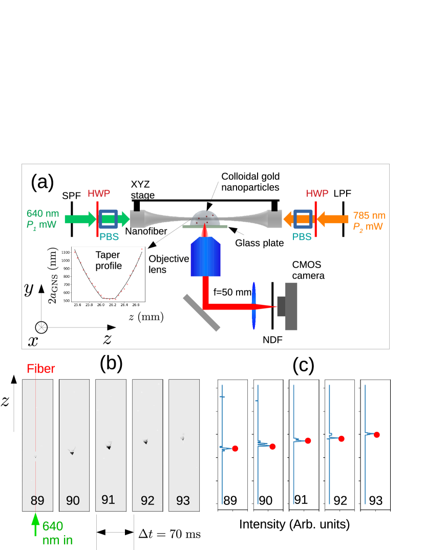 Refer to caption