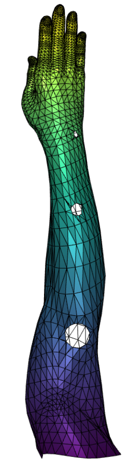 Refer to caption