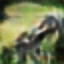 [Uncaptioned image]