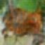[Uncaptioned image]
