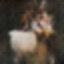 [Uncaptioned image]