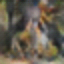 [Uncaptioned image]