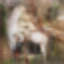 [Uncaptioned image]