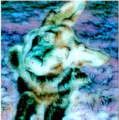 [Uncaptioned image]