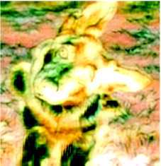 [Uncaptioned image]