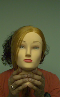 Refer to caption
