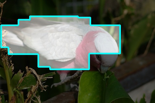 Refer to caption