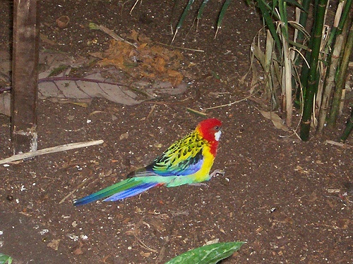 Refer to caption