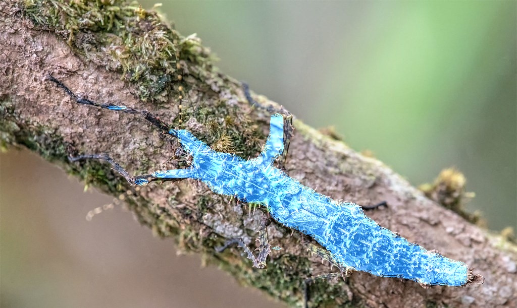 Refer to caption