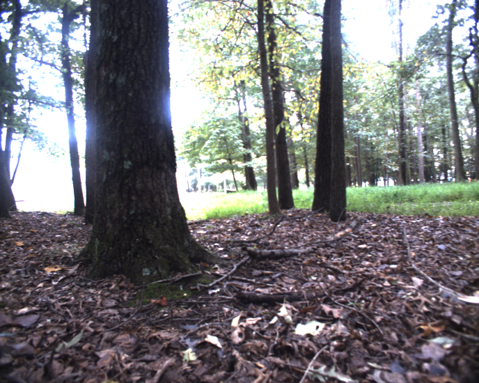 Refer to caption