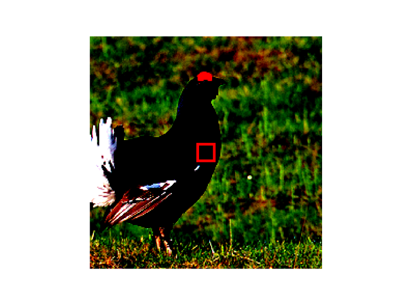 Refer to caption