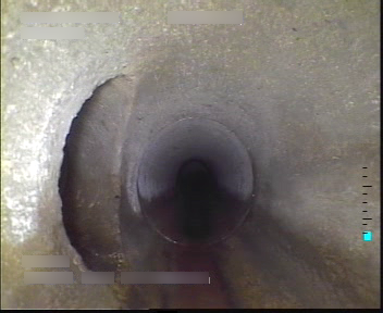 [Uncaptioned image]