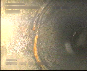 [Uncaptioned image]