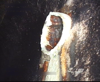 [Uncaptioned image]