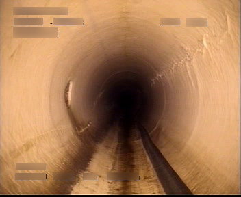 [Uncaptioned image]