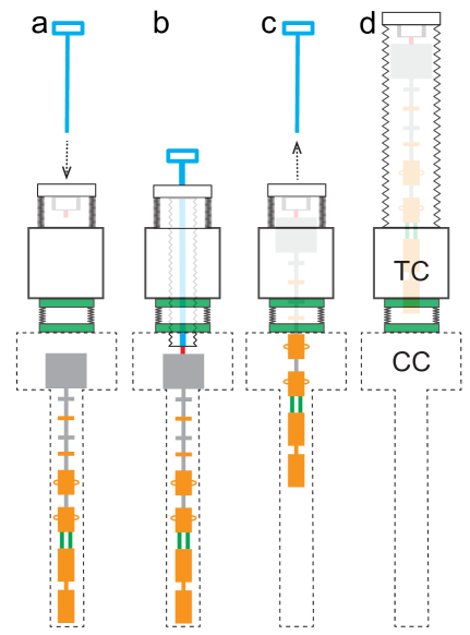 Refer to caption