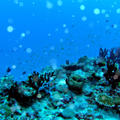 Refer to caption