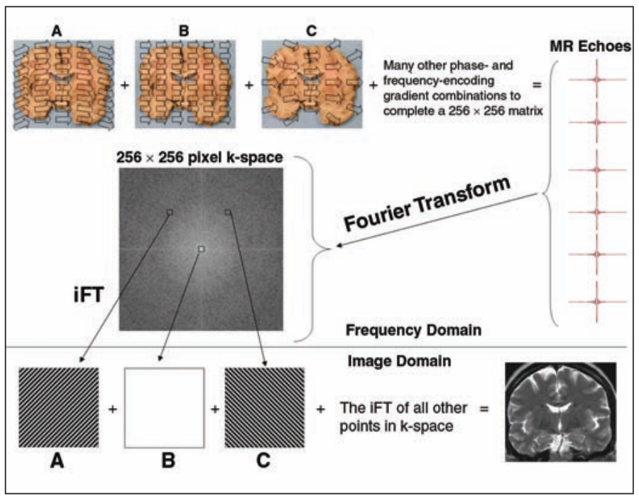 [2103.15152] Image Processing Techniques For Identifying Tumors In An 