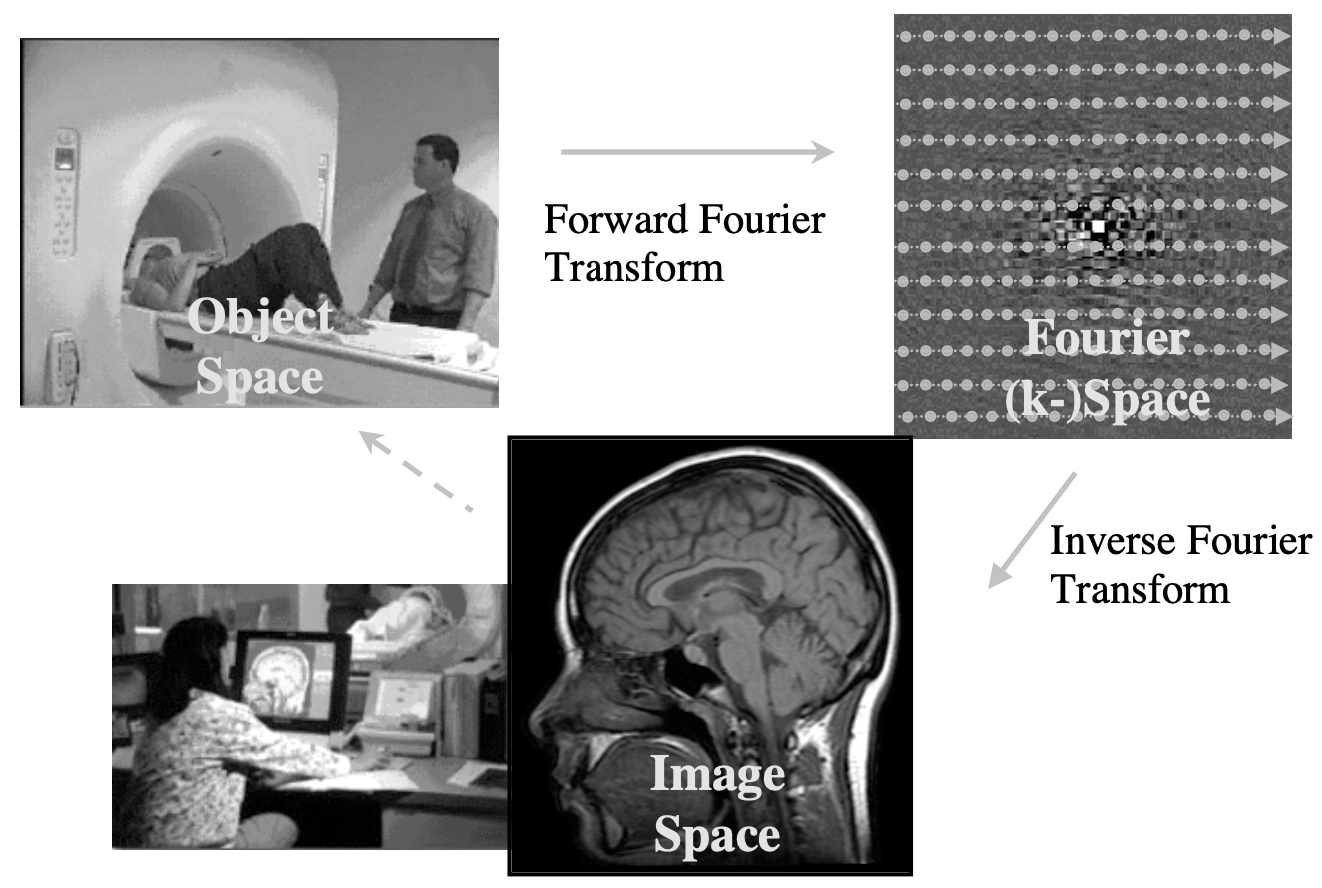 [2103.15152] Image Processing Techniques For Identifying Tumors In An 