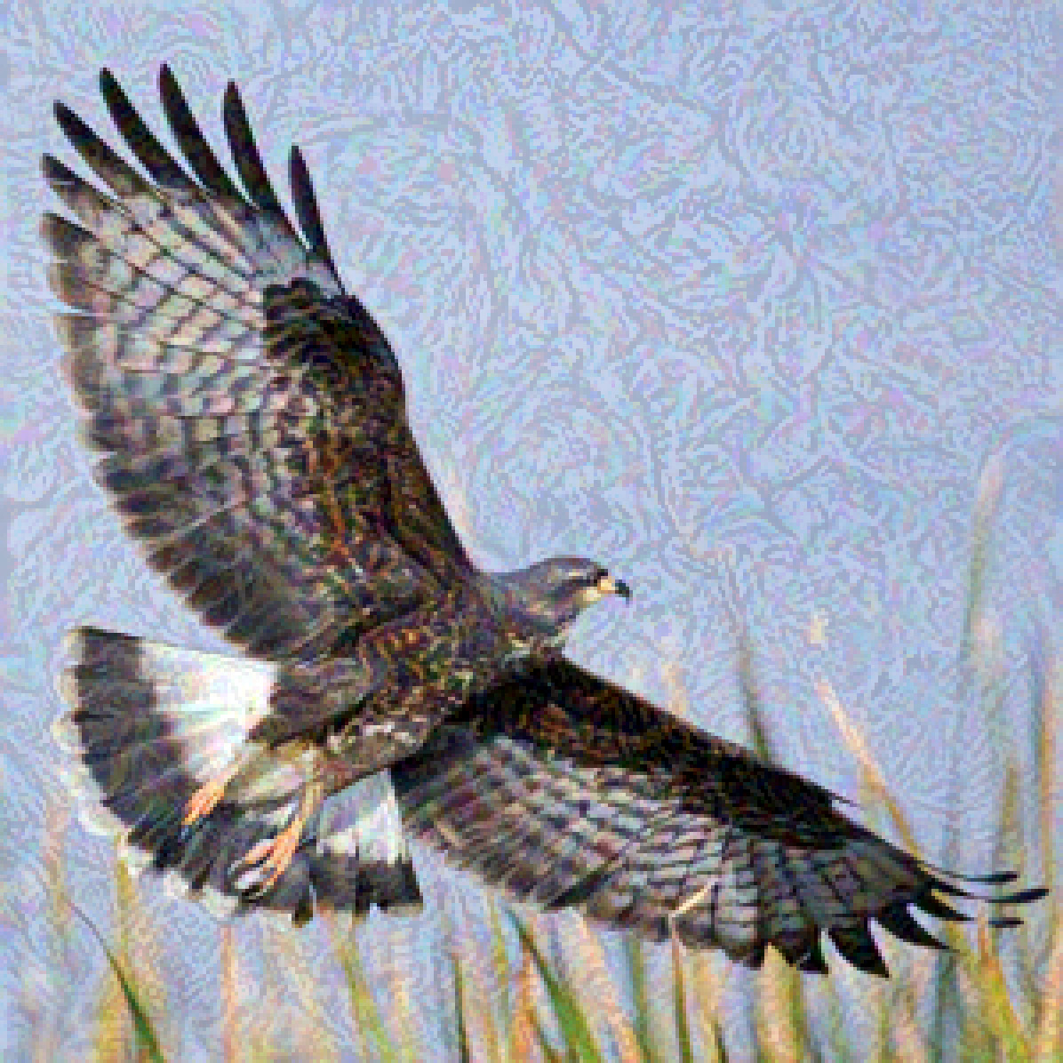 Refer to caption