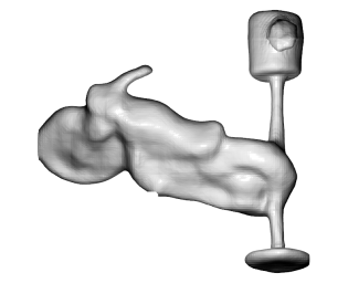 Refer to caption