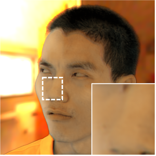 Refer to caption