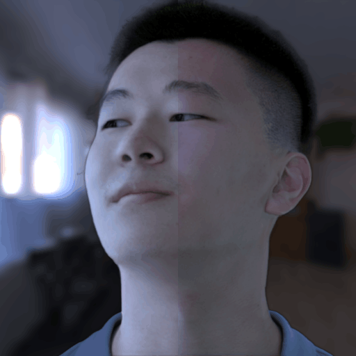Refer to caption